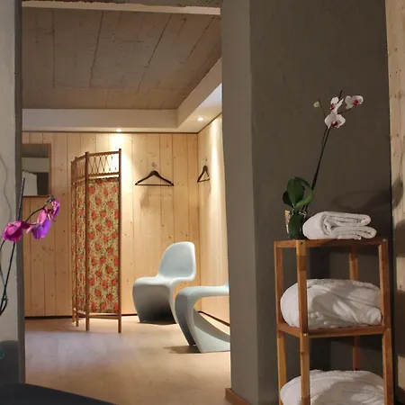 住宿加早餐酒店 艾琳别墅酒店 4*