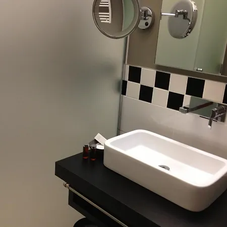 住宿加早餐酒店 艾琳别墅酒店 科尔马