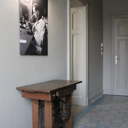 艾琳别墅酒店 住宿加早餐酒店 科尔马