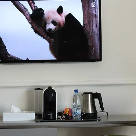 艾琳别墅酒店 4*