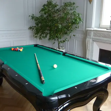 艾琳别墅酒店 住宿加早餐酒店 科尔马