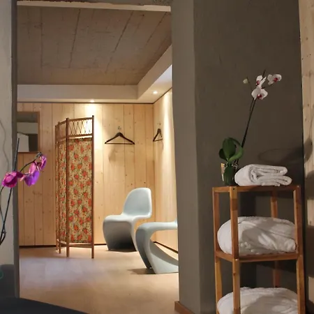 住宿加早餐酒店 艾琳别墅酒店 科尔马