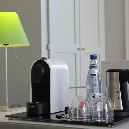 艾琳别墅酒店 4* 科尔马