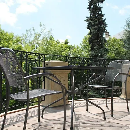 艾琳别墅酒店 科尔马