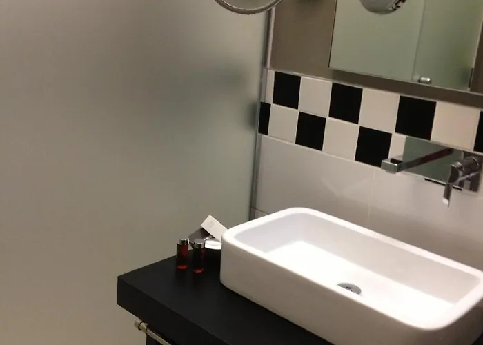 住宿加早餐酒店 艾琳别墅酒店 科尔马