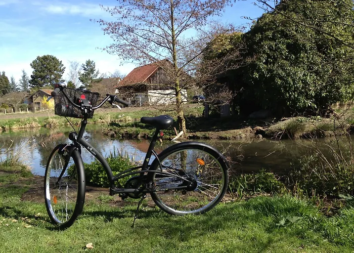 Elyane Bed & Breakfast