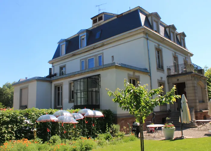 艾琳别墅酒店 科尔马